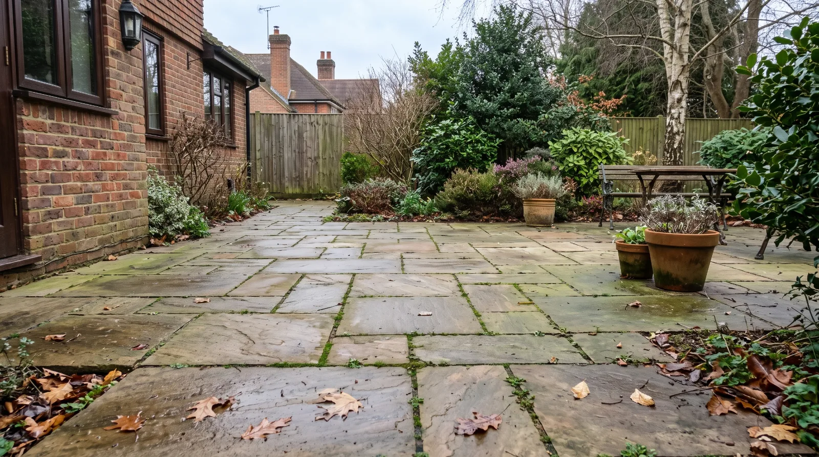Damp stone garden path with moss and algae between paving slabs in a British garden during winter.